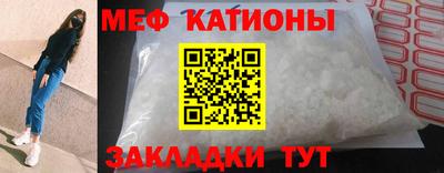 прущие грибы Камень-на-Оби