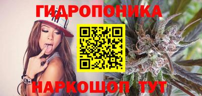индика Каменск-Уральский