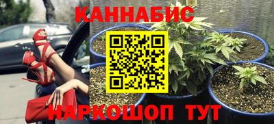 прущие грибы Камень-на-Оби