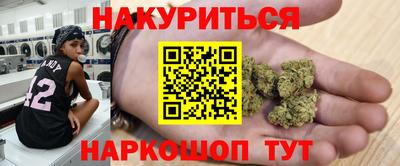 прущие грибы Камень-на-Оби