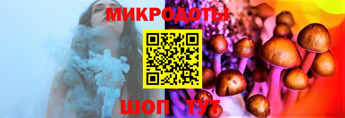 Гуково  Галлюциногенные грибы Cubensis  Вход с VPN 