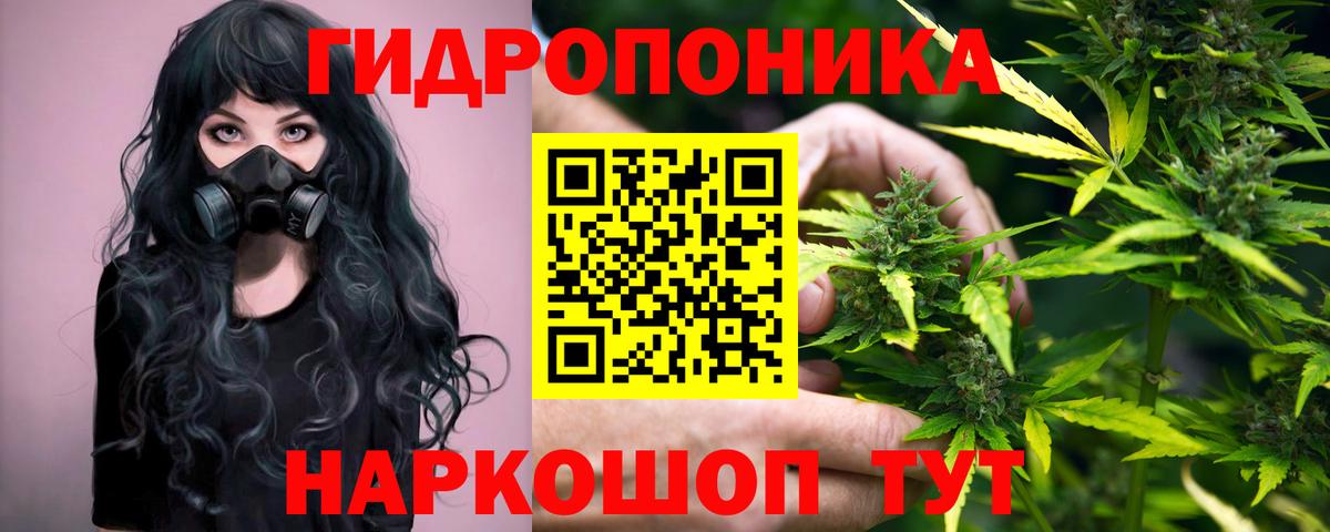 Гуково  Шишки марихуана SATIVA & INDICA  Вход с VPN  Конопля индика 